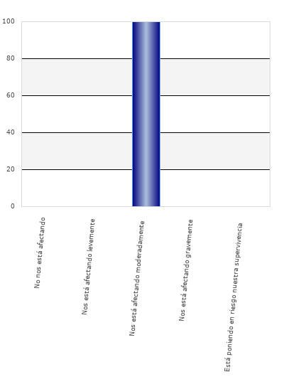 resultados de la encuesta